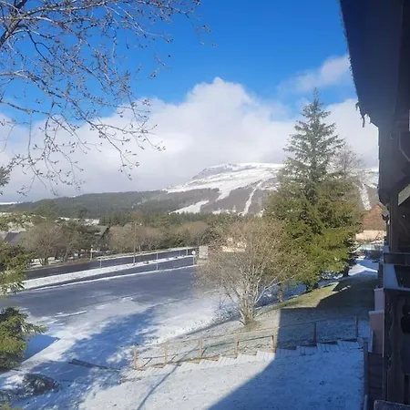 Apartment Super 5/6 Pers. Vue Sur Les Monts Du Cantal Besse-et-Saint-Anastaise