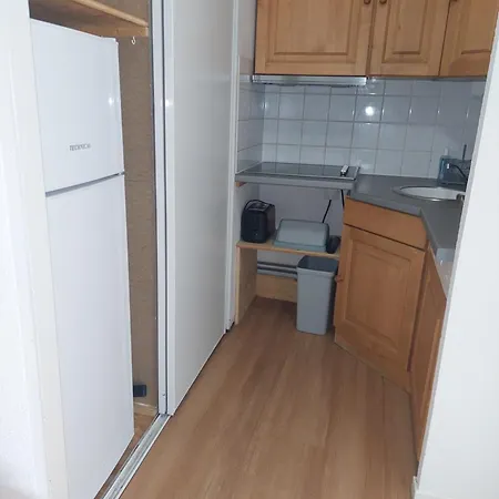 Apartment Super 5/6 Pers. Vue Sur Les Monts Du Cantal *